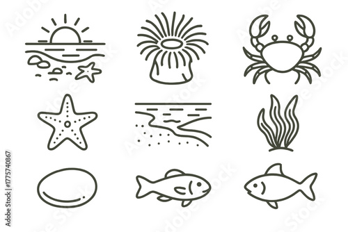Sunset Tide Icons. Line style icons of Sunset Tide Pool: Golden Reflection, Anemone, Crab, Starfish, Retreating Tide, Seaweed,