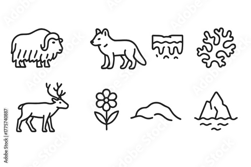 Tundra Icons Collection. Line style icons of Tundra: Musk Ox, Arctic Fox, Permafrost, Lichen, Caribou, Tundra Flower, Snowdrift,