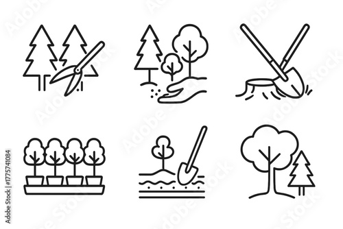 Silviculture Icon Set. Line style icons of Silvicultural Practices: thinning stand, mixed species planting, stump removal, tree