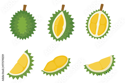 durian vector logo isolated on white background.	