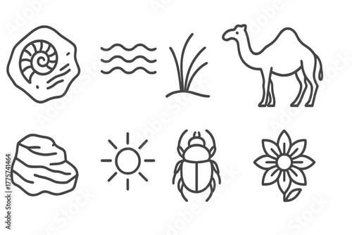Ancient Dune Icons. Line style icons of Ancient Dune: Fossil, Ripple Pattern, Dune Grass, Camel, Sandstone Rock, Sun, Scarab