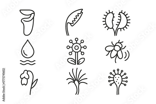 Carnivorous Plants Icons. Line style icons of Carnivorous Plant: Pitcher Plant, Trap Leaf, Venus Flytrap, Digestive Fluid, Sundew,