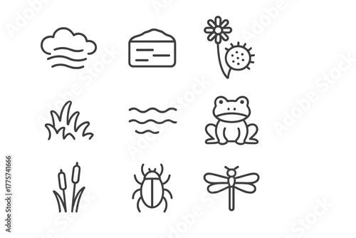 Misty Bog Icons. Line style icons of Misty Bog: Fog, Peat, Sundew, Moss, Standing Water, Frog, Reeds, Insect, No text, No labels,
