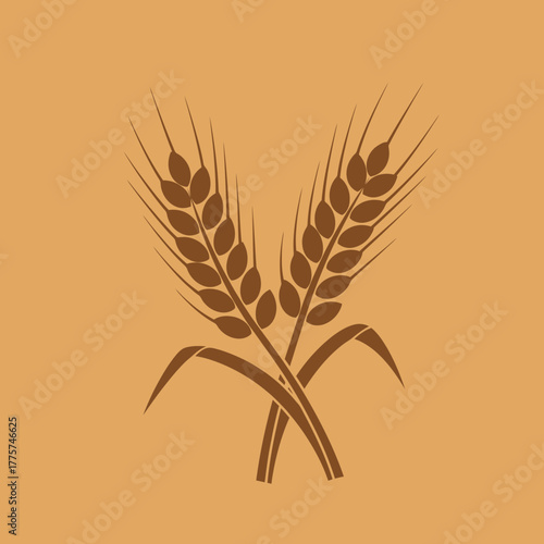 Two wheat stalks are crossing each other in a symmetrical arrangement.