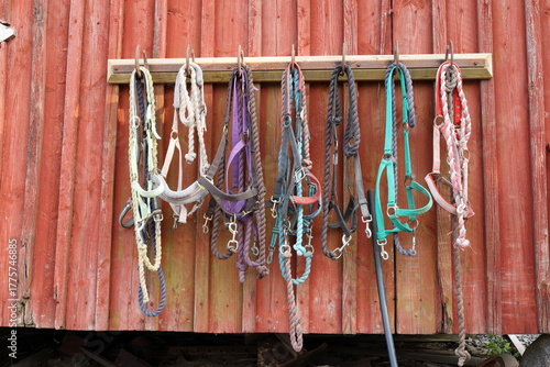 Horse bridles collection. At red wooden wall or building. Ranch life.
