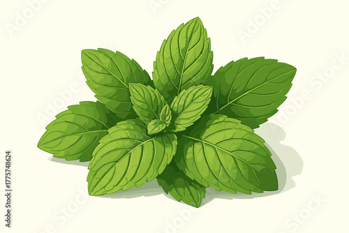 Minty Fresh Still Life. Elegant still life of fresh mint leaves resting on a clean white surface, vibrant tones and natural