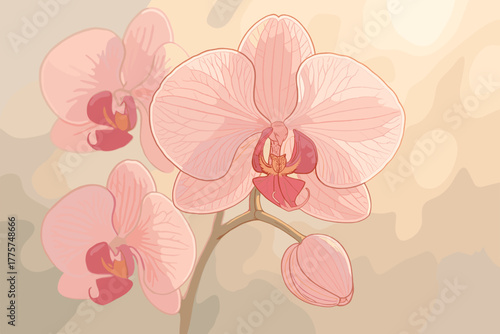 Serene Pink Orchids. Close-up of delicate pink orchid flowers glowing under soft sunlight, intricate petal vector illustration