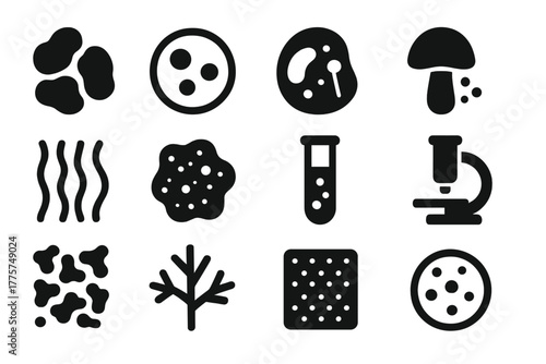 Cave Microbiology Icons. Solid style icons of Cave Microbiology: Bacteria Colony, Petri Dish, Microscopic Cell, Fungus Spore,