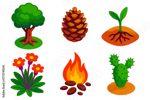 Fire-Adapted Plant Illustrations. Isometric vector illustration set Plant Adaptations to Fire: thick bark tree, serotinous pine