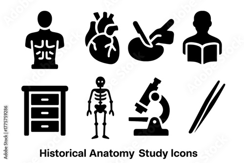 Historical Anatomy Icons. Solid style icons of Historical Anatomy Study: Anatomical Model, Papier-Mâché Organs, Dissection,
