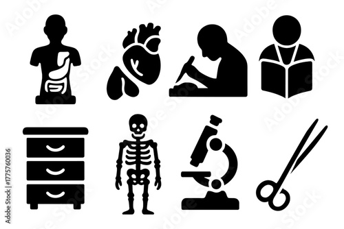 Historical Anatomy Icons. Solid style icons of Historical Anatomy Study: Anatomical Model, Papier-Mâché Organs, Dissection,