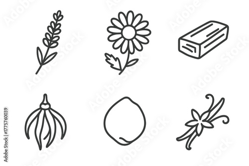 Relaxing Scents Icons. Line style icons of relaxing scents: lavender sprig, chamomile flower, sandalwood chip, ylang-ylang bloom,