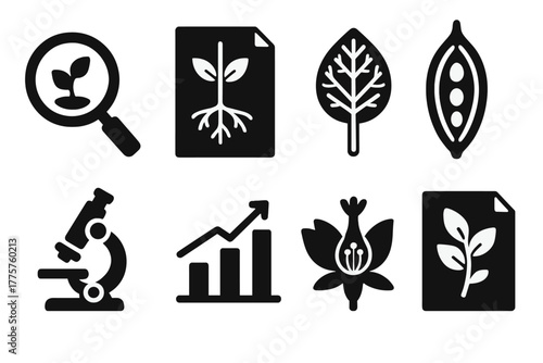 Botanical Study Icons. Solid style icons of Botanical Study: magnifying glass, plant diagram, leaf structure, seed pod, microscope