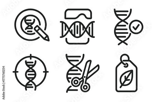 Stem Cell Icons. Line style icons of stem cell research: gene editing in stem cells, CRISPR icon, DNA modification symbol, target