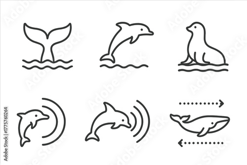 Marine Biology Icons. Line style icons of marine biology: whale tail, dolphin jump, marine mammal, sonar communication,