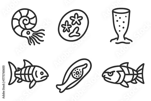 Paleontology Line Icons. Line style icons of paleontology: extinct ocean life, fossil coral, ancient sponge, armored fish, jawless