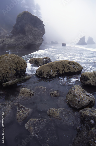 A foggy morning on the rocky Pacific coastline 