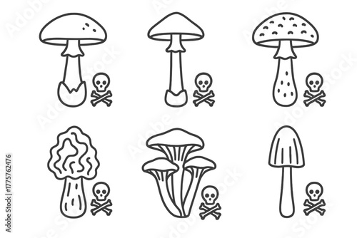 Poisonous Mushroom Icons. Line style icons of poisonous mushrooms: death cap, destroying angel, panther cap, false morel, jack