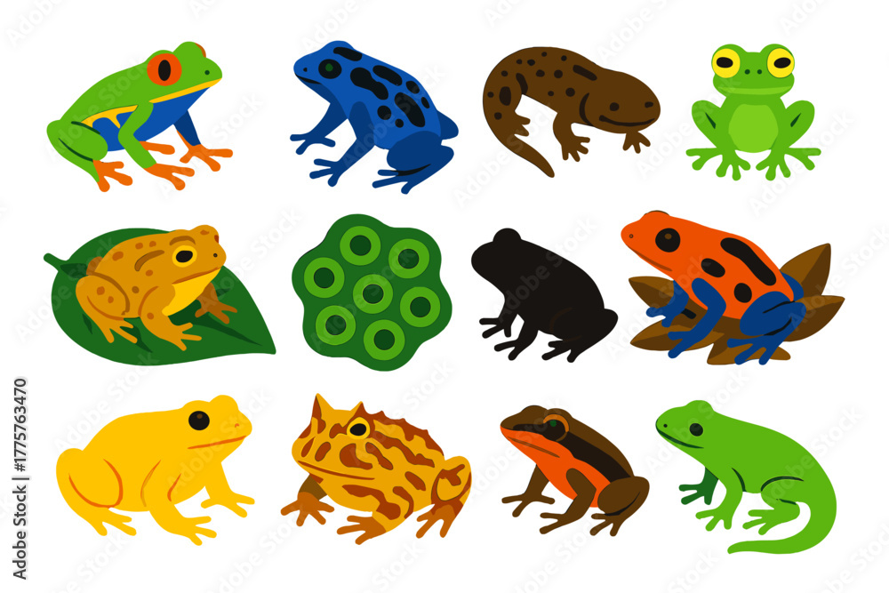 Obraz premium Rainforest Amphibian Icons. Flat vector icons of rainforest amphibians: red-eyed tree frog, poison dart frog, giant salamander,