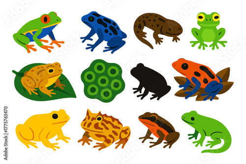 Rainforest Amphibian Icons. Flat vector icons of rainforest amphibians: red-eyed tree frog, poison dart frog, giant salamander,
