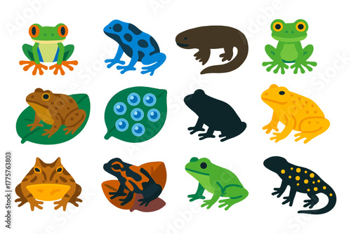 Rainforest Amphibian Icons. Flat vector icons of rainforest amphibians: red-eyed tree frog, poison dart frog, giant salamander,