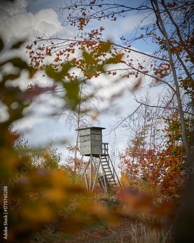 high seat of hunters on a forest path