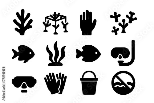 Coral Reef Conservation Icons. Solid style icons of Coral Reef Restoration: Coral Fragment, Underwater Frame, Divers Hand, Young