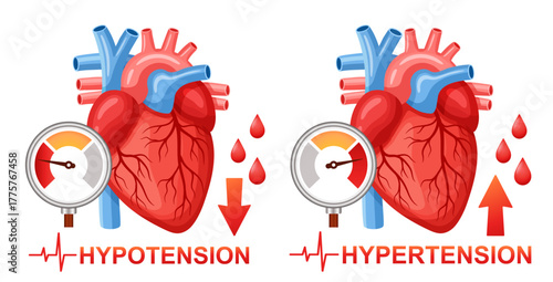Blood arterial pressure measuring, heart organ health, hypotension, hypertension cardiac cardiology cardiovascular disease. High, low cardio heartbeat pulse rhythm check with medical tonometer. Vector