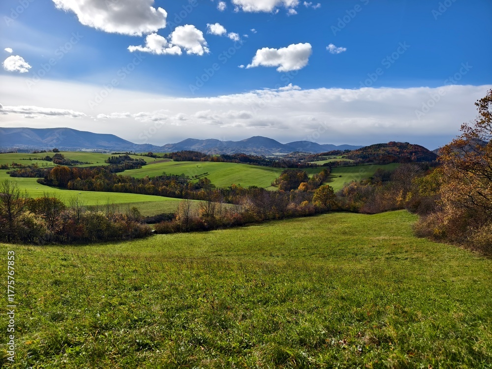 Fototapeta premium autumn landscape with meadows and trees