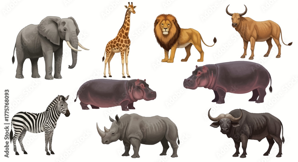 Fototapeta premium African wildlife animals collection including elephant giraffe lion zebra rhino hippo buffalo.