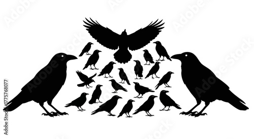 A Flock of Crows Silhouetted Against a White Background.