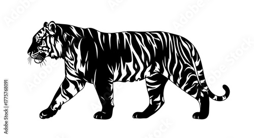 Black and white graphic illustration of a walking tiger.