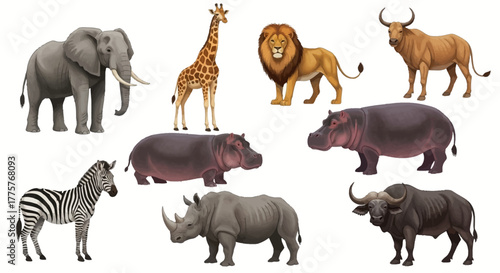 African wildlife animals collection including elephant giraffe lion zebra rhino hippo buffalo.