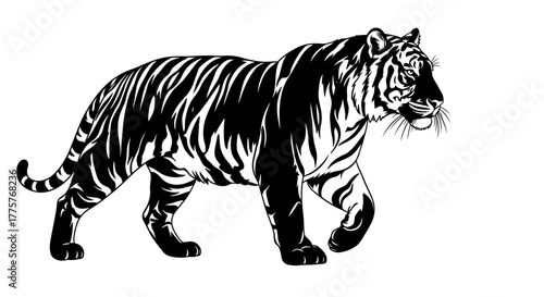 Majestic Tiger Illustration - A Striking Black and White Depiction.