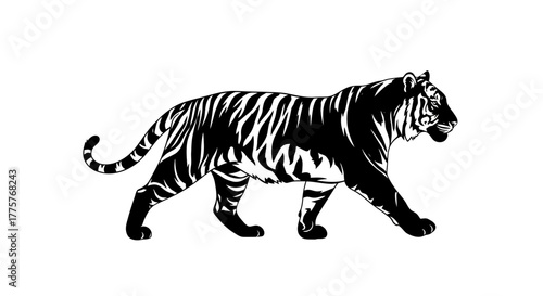 Majestic tiger prowling gracefully across a pristine white canvas showcasing its power.