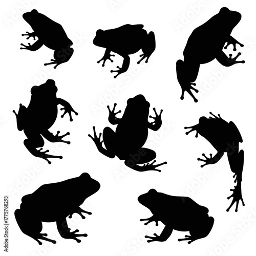 Silhouetted Frogs - A Collection of Amphibian Outlines.