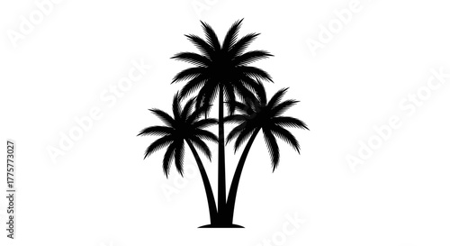 Tropical Silhouette: A striking silhouette of palm tree, evoking the essence of a serene tropical paradise. Capturing the spirit of a sunny destination.