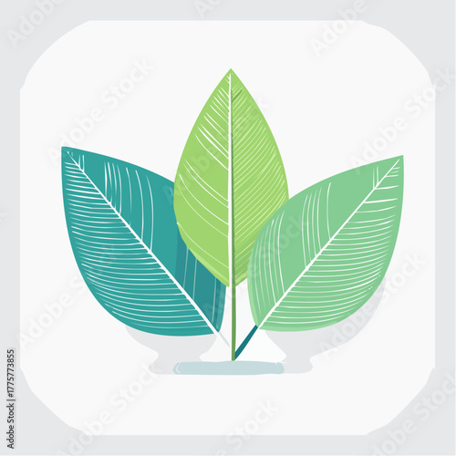 Three Stylized Leaves in Shades of Green and Teal with Detailed Veining on a Light Gray Square Background with Soft Shadow