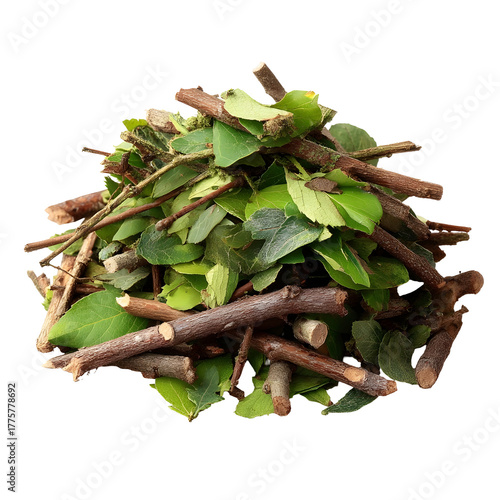 Wallpaper Mural A heap of dry twigs and green leaves organic yard trimmings isolated on a clean white background Torontodigital.ca