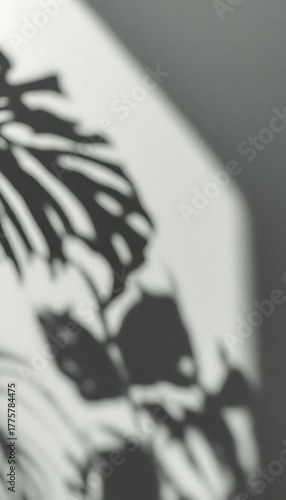 Abstract shadow play of tropical leaves on a textured surface