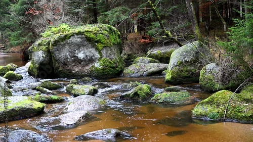 Waldviertel Naturfluss Kleiner Kamp