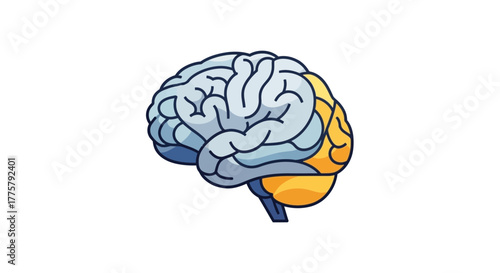 Colorful Brain Illustration in Artistic Style on White Background