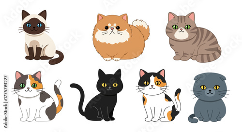 Cute Cartoon Cat Collection Diverse Breeds and Colors for Whimsical Designs