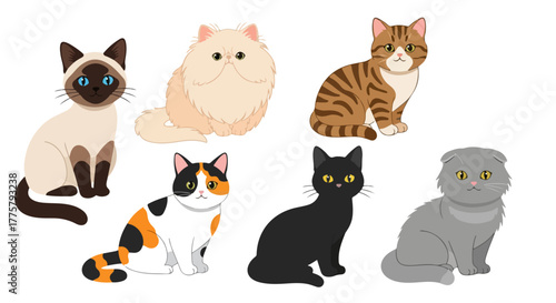Collection of Diverse Domestic Feline Companions Poses