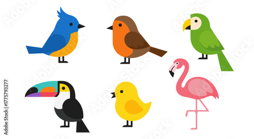 Collection of Cute Cartoon Birds Isolated on White Background Featuring Diverse Species