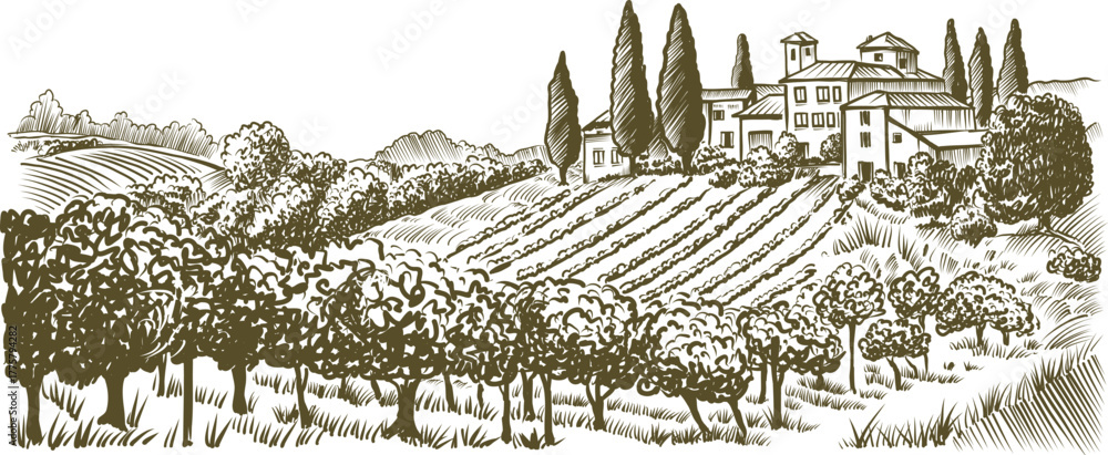 Naklejka premium Countryside Landscape Vintage Ink Illustration with Vineyard Fields and Villas on Rolling Hills, Sketch Style,