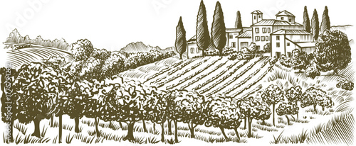 Countryside Landscape Vintage Ink Illustration with Vineyard Fields and Villas on Rolling Hills, Sketch Style, 