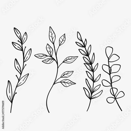 Tree branch botanical line art nature element vector collection