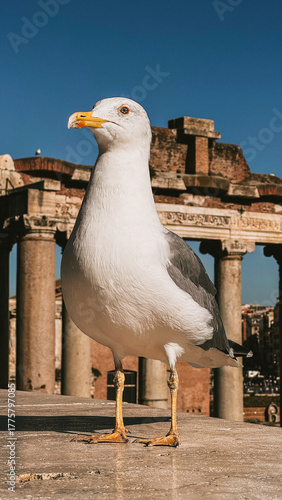 Rome, Italy – Cityscapes and Landmarks