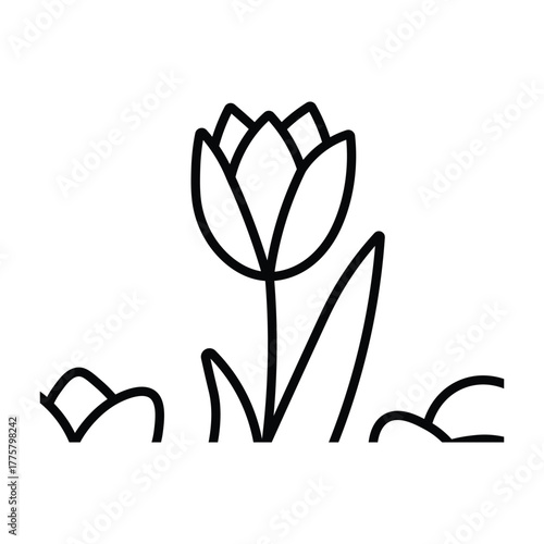 Black outline drawing shows tulip flower growing in grass on white background
